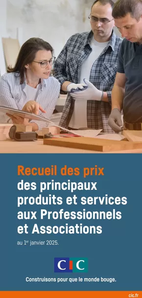 Promos de Banques et Assurances à Loos | Recueil des prix des principaux produits et services aux Professionnels et Associations sur CIC | 21/02/2025 - 30/06/2025