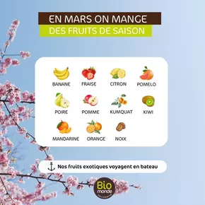 Promos de Magasins Bio à Lillebonne | Fruits des Mars sur Biomonde | 04/03/2025 - 31/03/2025