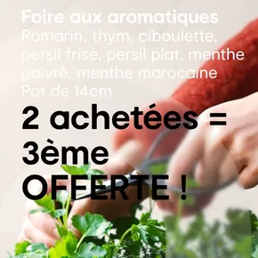 Promos de Jardineries et Animaleries à Montévrain | Les produits de saisons sont évidemment mis en avant. Rendez-vous chez Côté Nature sur Côté Nature | 11/03/2025 - 31/03/2025