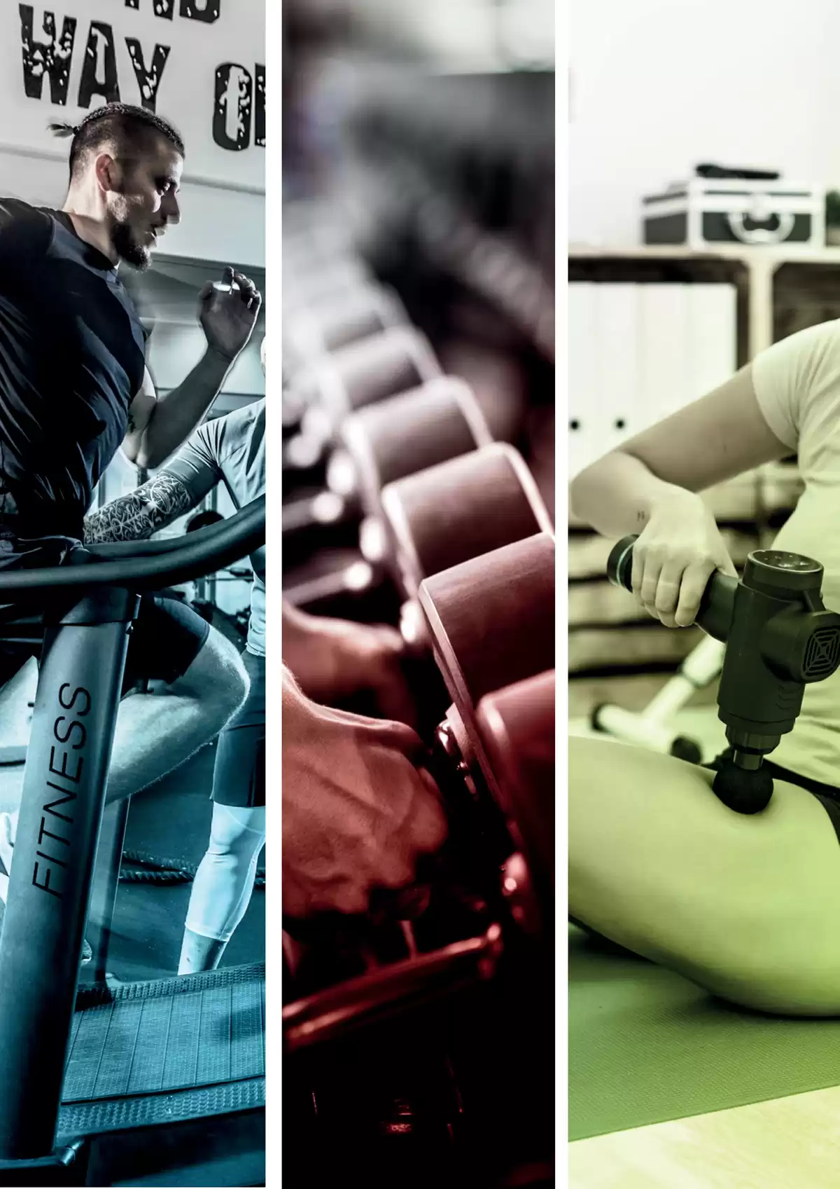 Catalogue GAMME PROFESSIONNELLE 2025-2026, page 00002