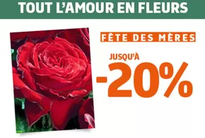 Promos de Jardineries et Animaleries à Ahuy | Notre offre végétal spéciale fête des mères sur Jardiland | 12/05/2025 - 21/05/2025
