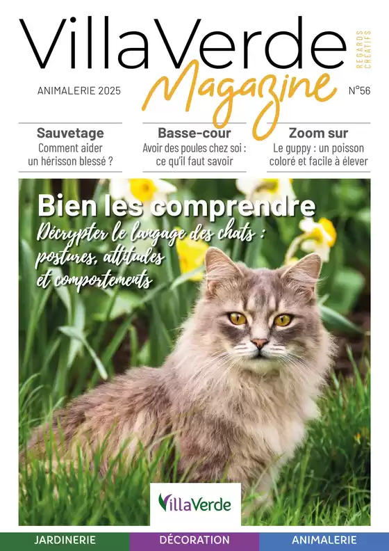 Bien les comprendre