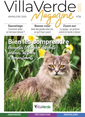 Promos de Jardineries et Animaleries à Cannes | Bien les comprendre sur VillaVerde | 01/01/2025 - 31/12/2025