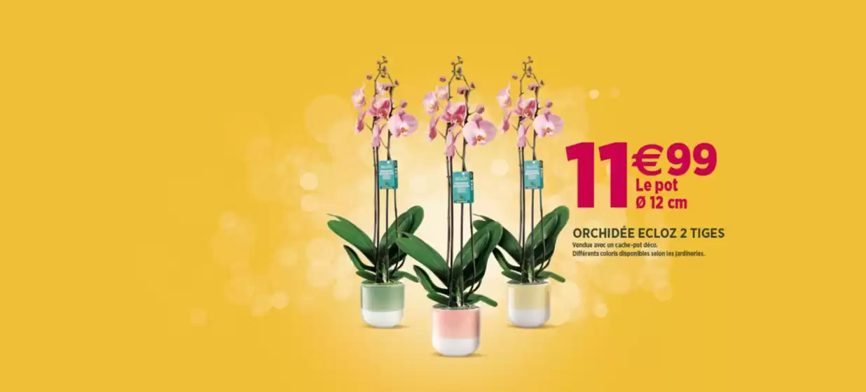 Les promotions sont là !