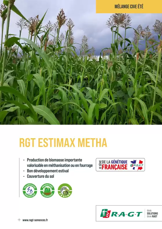 MÉLANGE CIVE ÉTÉ