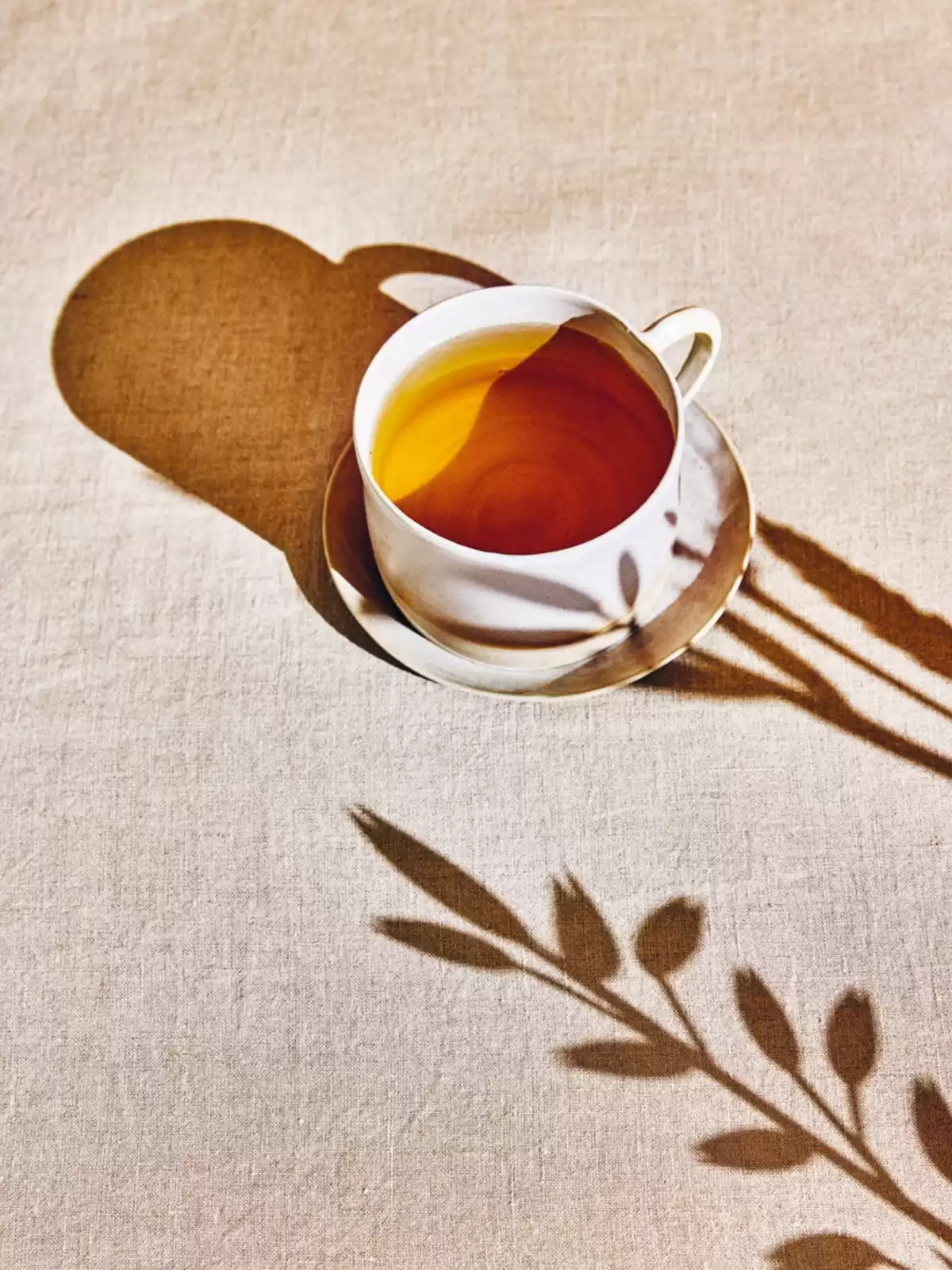 Catalogue Bruits de Palais n°94, page 00002