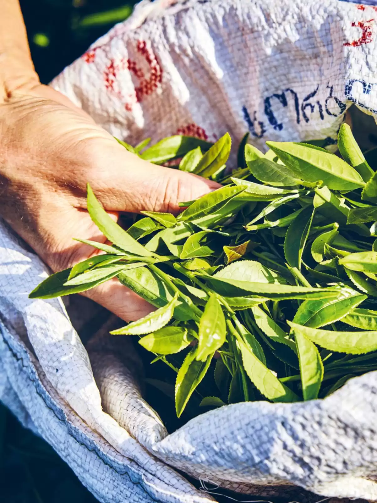 Catalogue Bruits de Palais n°94, page 00004