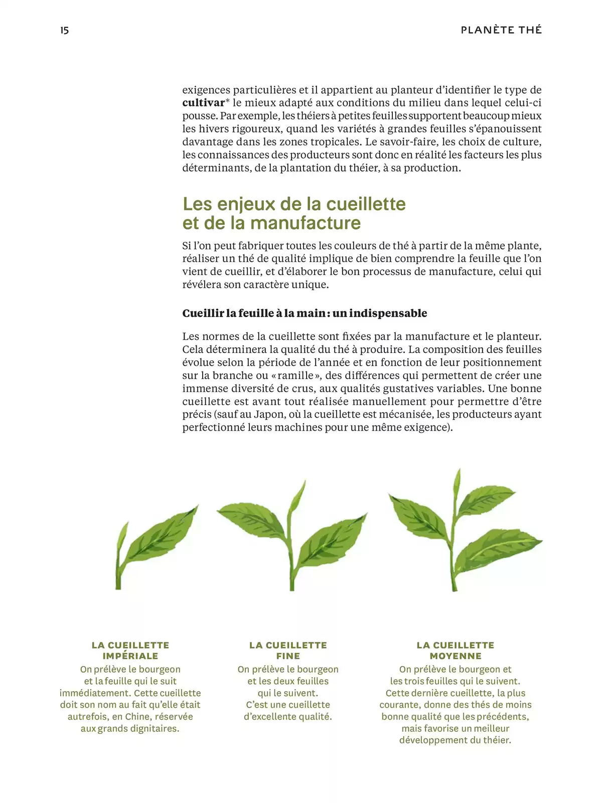 Catalogue Bruits de Palais n°94, page 00015