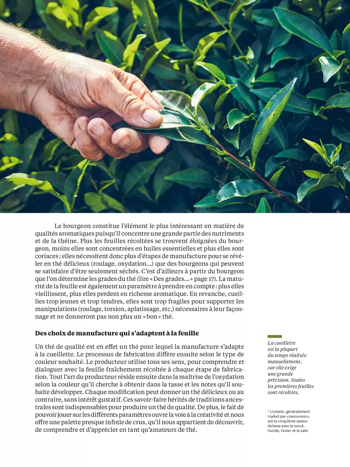 Catalogue Bruits de Palais n°94, page 00016