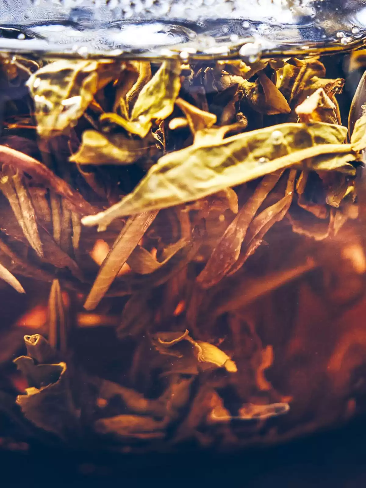 Catalogue Bruits de Palais n°94, page 00020