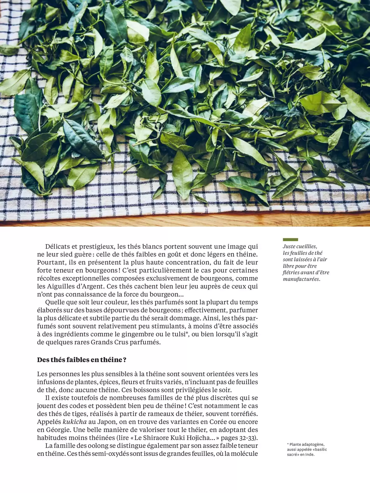 Catalogue Bruits de Palais n°94, page 00024