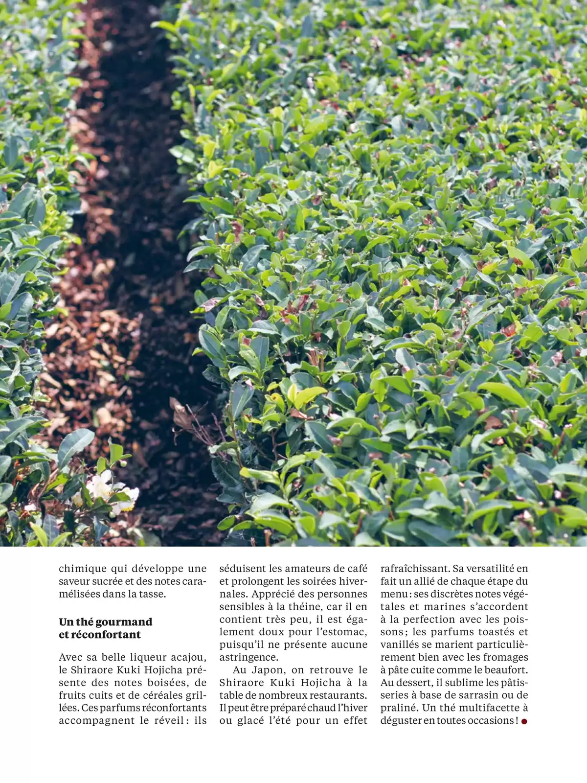 Catalogue Bruits de Palais n°94, page 00033