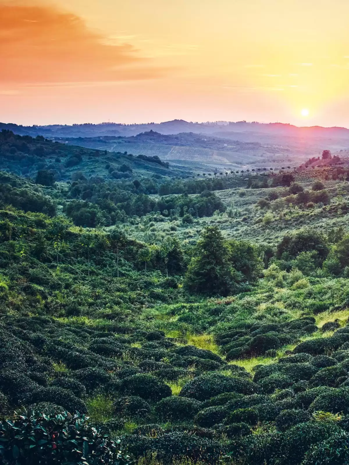 Catalogue Bruits de Palais n°94, page 00039