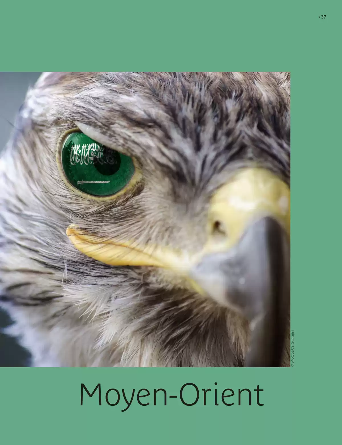 Catalogue Circuits 2026, page 00039