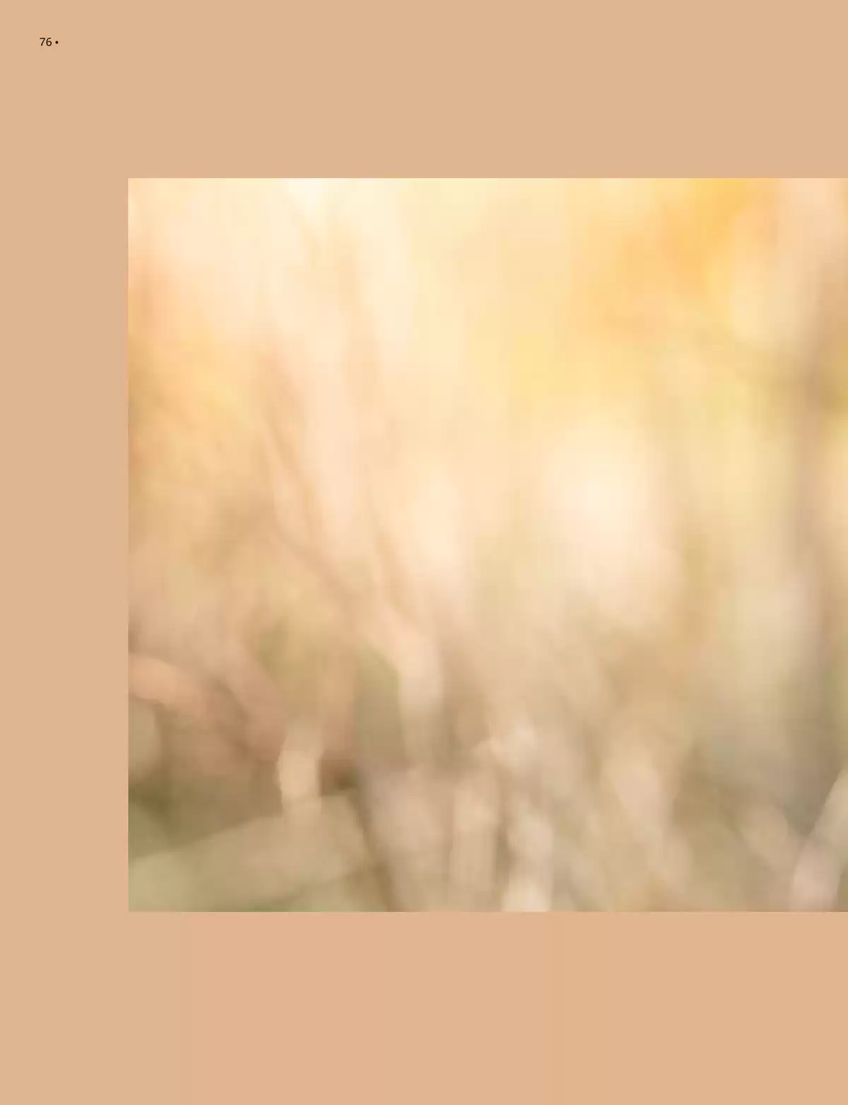 Catalogue Circuits 2026, page 00078