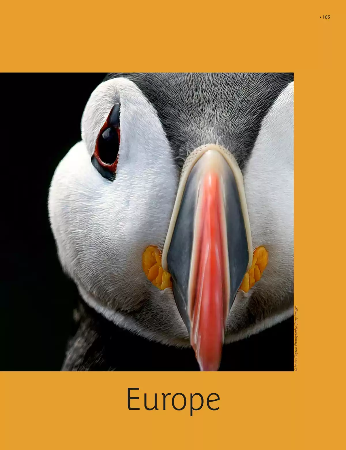 Catalogue Circuits 2026, page 00167