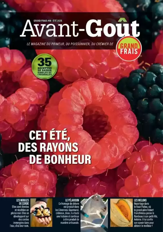 ÉTÉ 2025