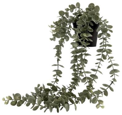 Plante artificielle eucalyptus offre à 5€ sur Hema