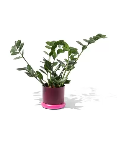 Pot de fleurs Ø 15,5 cm donut métal offre à 9,89€ sur Hema