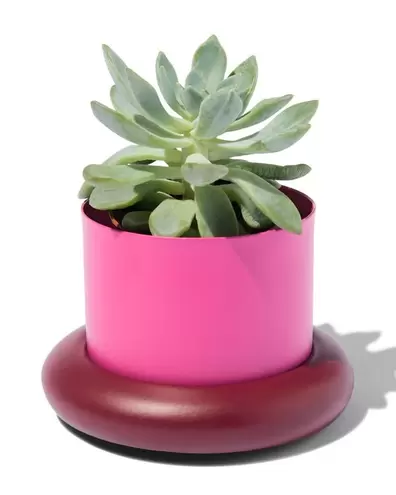 Pot de fleur Ø10cm métal avec soucoupe rose offre à 5,29€ sur Hema