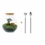 LA GREEN TOUCH - Kit terrarium diy - teddy offre à 97€ sur Truffaut