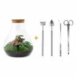 LA GREEN TOUCH - Kit terrarium diy 3 plantes - samos offre à 127€ sur Truffaut