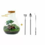 LA GREEN TOUCH - Kit terrarium diy 3 plantes - samos offre à 109€ sur Truffaut