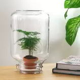 LA GREEN TOUCH - Easyplant - baby plante sous verre - offre à 69€ sur Truffaut