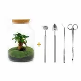 LA GREEN TOUCH - Kit terrarium diy - mila sans led ficus - rateau + pelle + pince + ciseaux offre à 151,2€ sur Truffaut