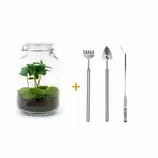 LA GREEN TOUCH - Kit terrarium diy - oslo caféier - rateau + pelle + pince offre à 110,4€ sur Truffaut