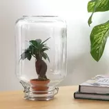 LA GREEN TOUCH - Easyplant - baby plante sous verre - offre à 69€ sur Truffaut