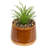 Plante artificielle en pot - H 12 cm - Différents modèles - ATMOSPHERA offre à 2,99€ sur La Foir'Fouille