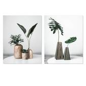 Toile plante et feuille - 40 x L 50 cm - Différents modèles offre à 2,99€ sur La Foir'Fouille