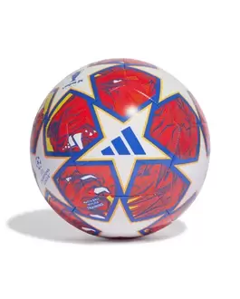 Ballon de football UCL TRN Blanc offre à 30€ sur Sport 2000