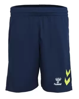 SHORT D'ENTRAÎNEMENT HOMME GRAPHIC GENISIS SHORTS Bleu offre à 9,99€ sur Sport 2000