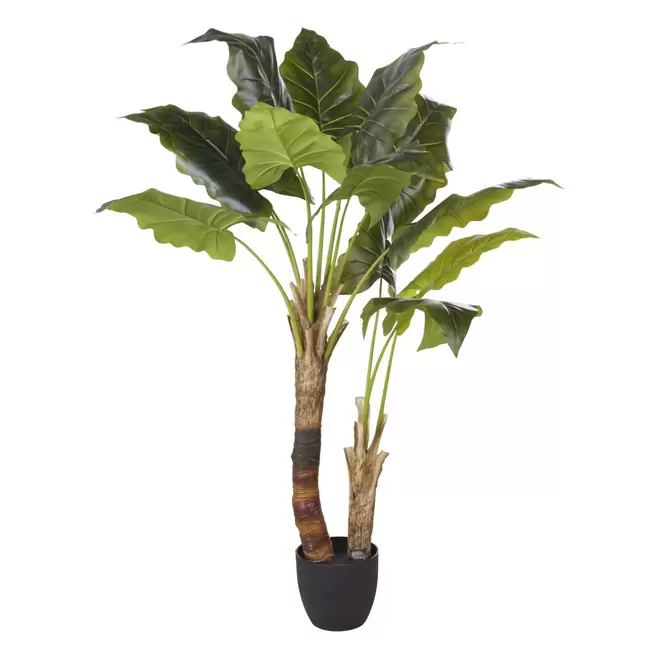 Plante verte artificielle et pot en ciment noir offre à 89,99€ sur Maisons du Monde