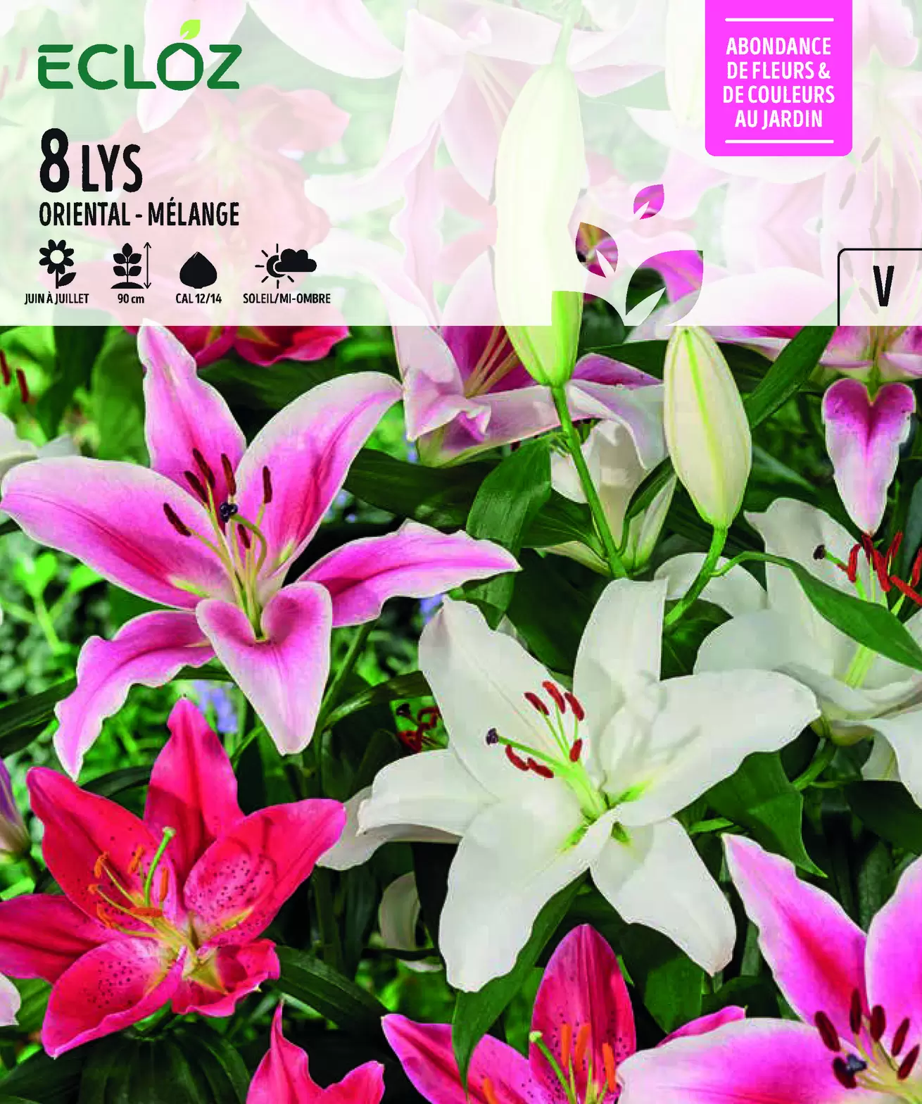 Bulbes à fleurs Lis orientaux mélange Cal 12/14 x8 - ECLOZ offre à 7,99€ sur Jardiland