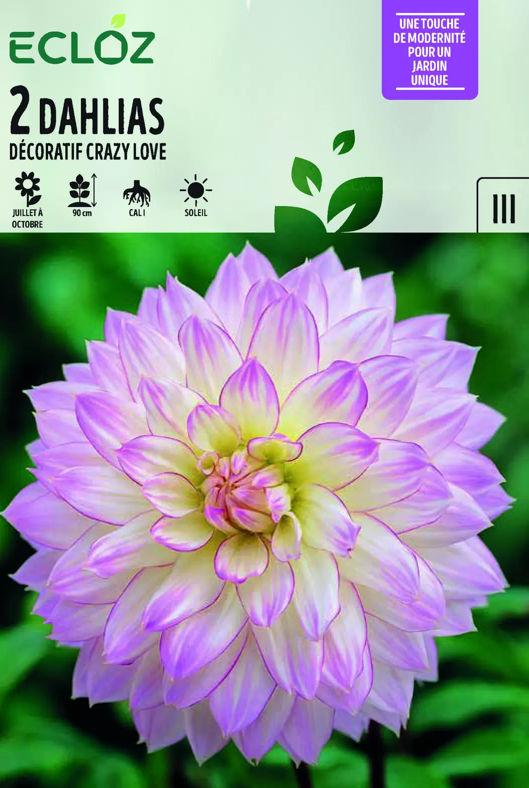 Dahlia décoratif Crazy Love Cal I X2 - ECLOZ offre à 5,99€ sur Jardiland