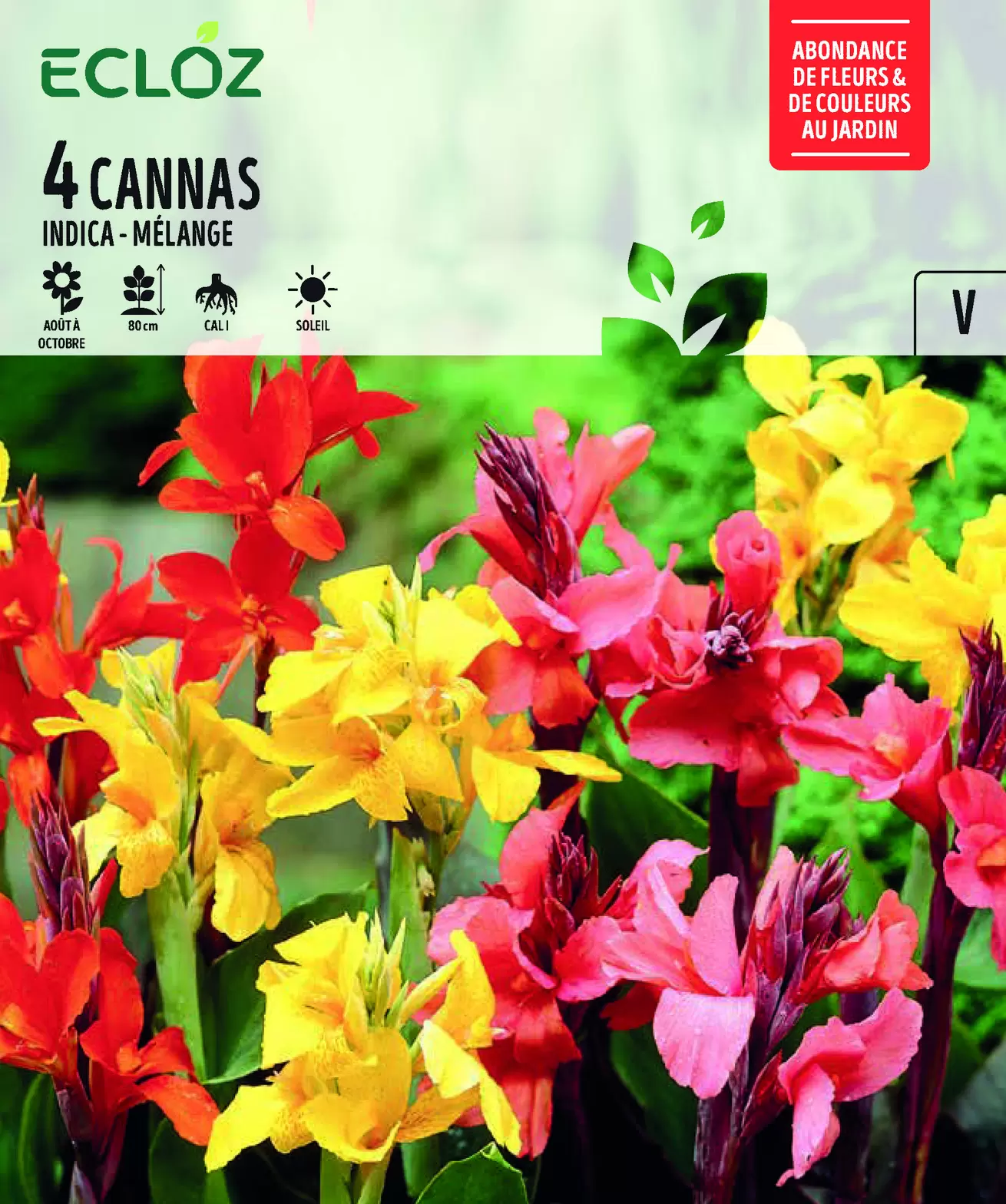 Canna Mélange Bulbes Haut Cal 1 X4 – ECLOZ offre à 7,99€ sur Jardiland