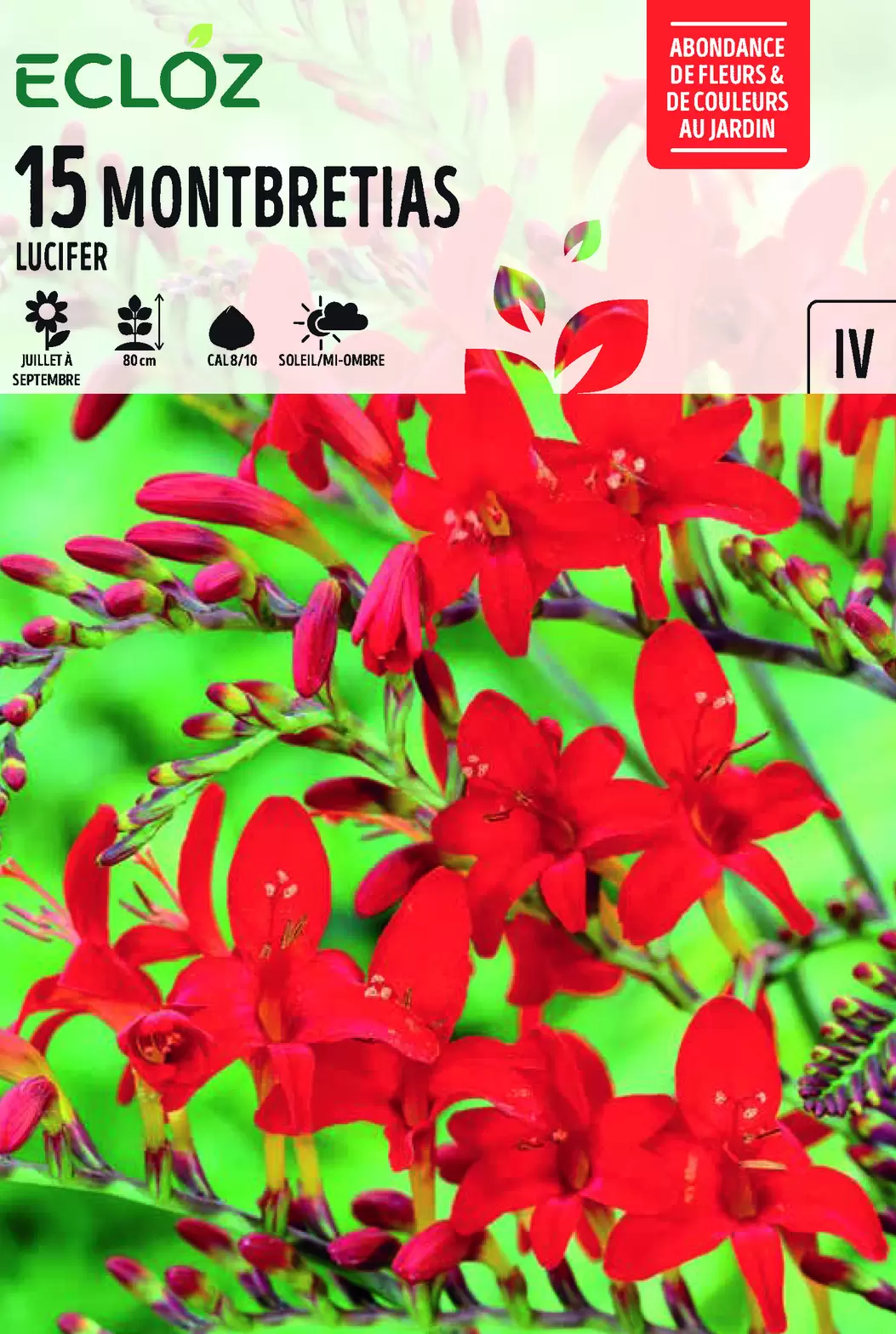 Crocosmia Lucifer bulbes à fleurs cal 8 10 x15 – ECLOZ offre à 6,99€ sur Jardiland