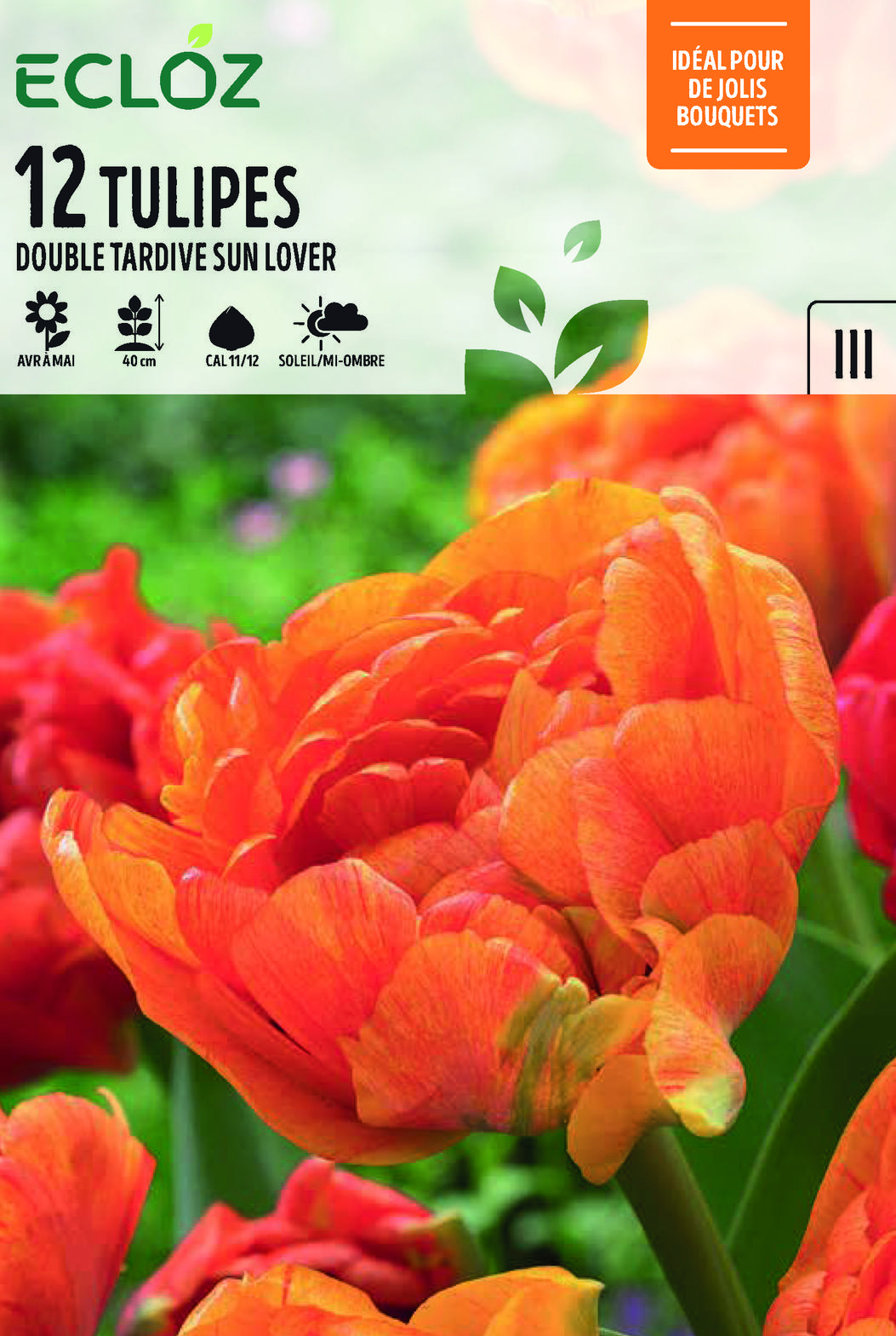 Tulipe Double Tardive Bulbes Sun Lover Cal 11/12 x12 – ECLOZ offre à 5,49€ sur Jardiland