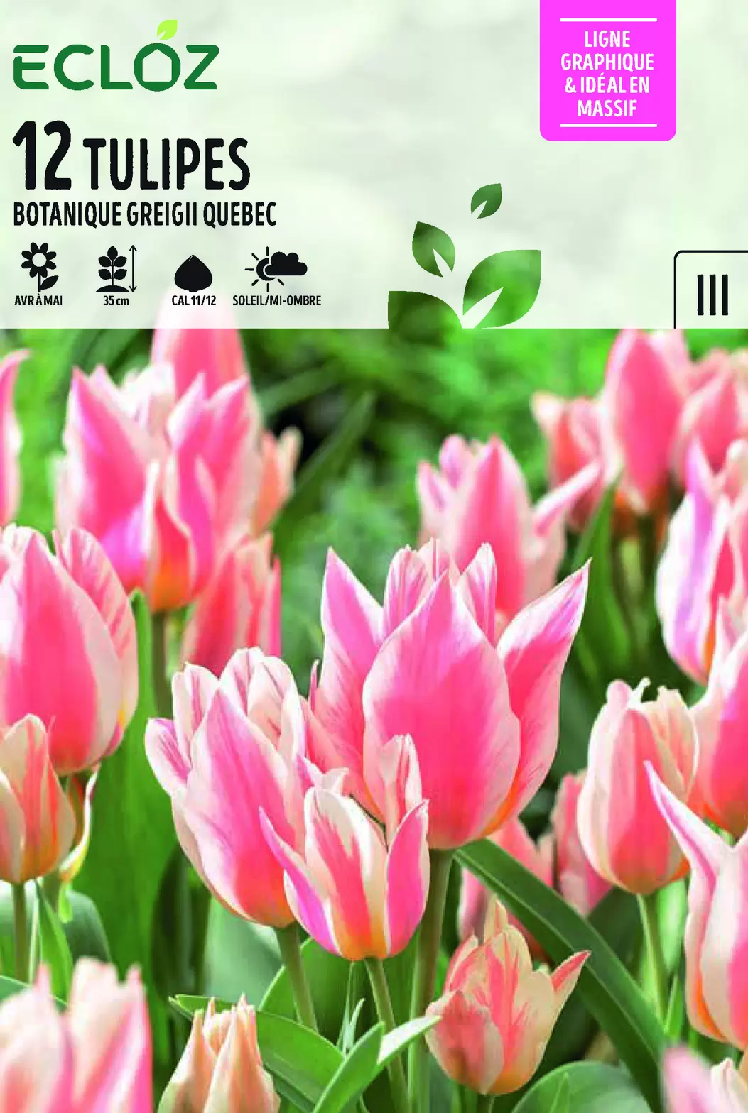 Tulipe Botanique Bulbes X12 Cal 11/12 - ECLOZ offre à 5,49€ sur Jardiland