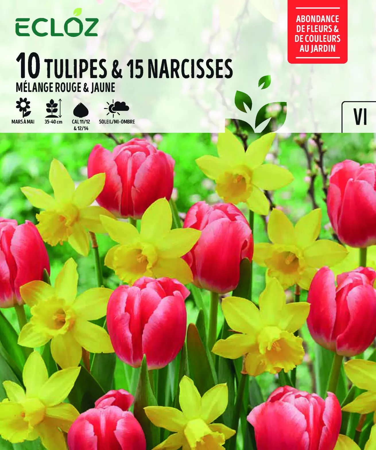 Bulbes Tulipe et Narcisse Rouge/Jaune x25 - ECLOZ offre à 9,99€ sur Jardiland