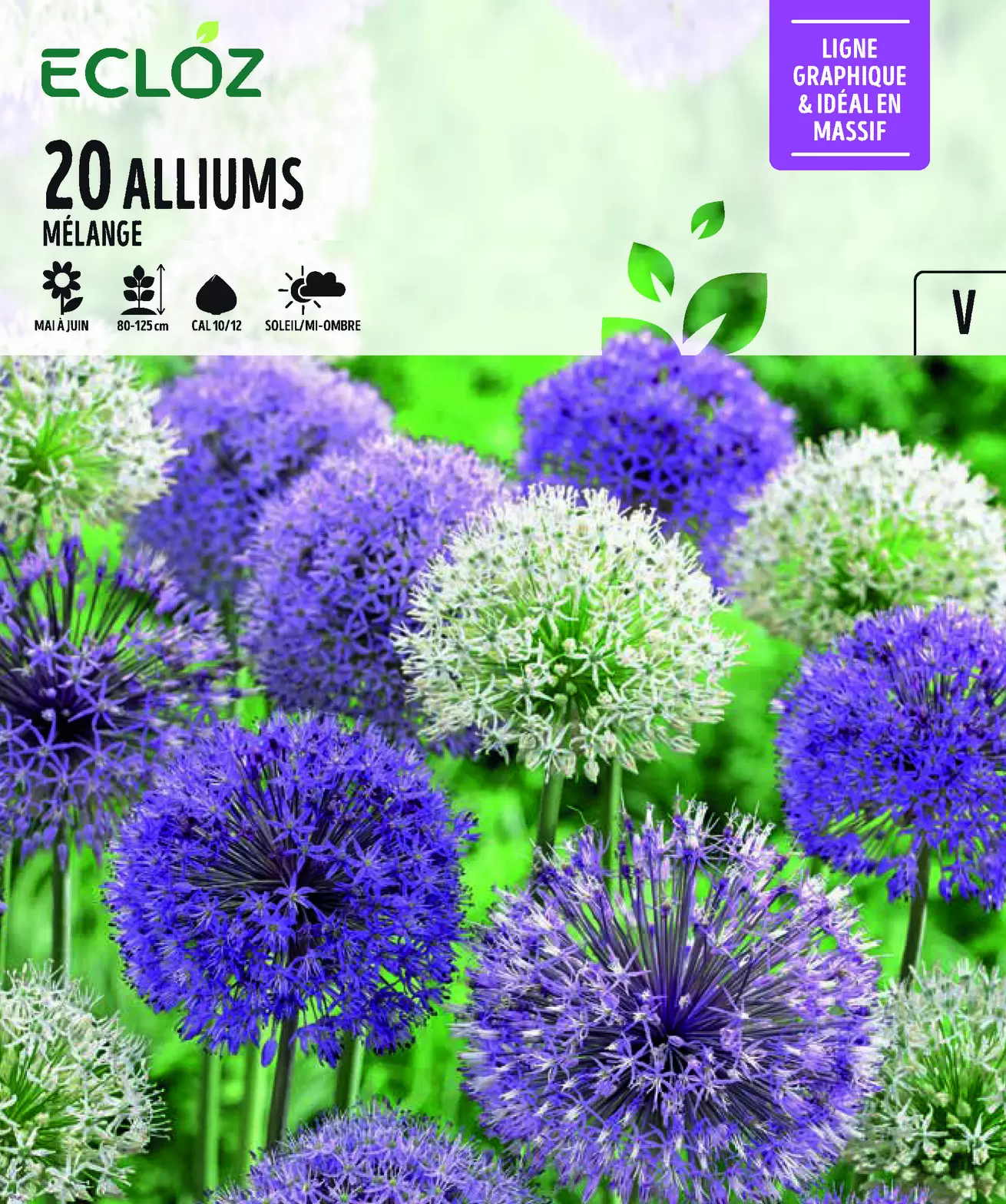 Bulbe à Fleurs Allium Mix 10/12 – ECLOZ offre à 8,99€ sur Jardiland