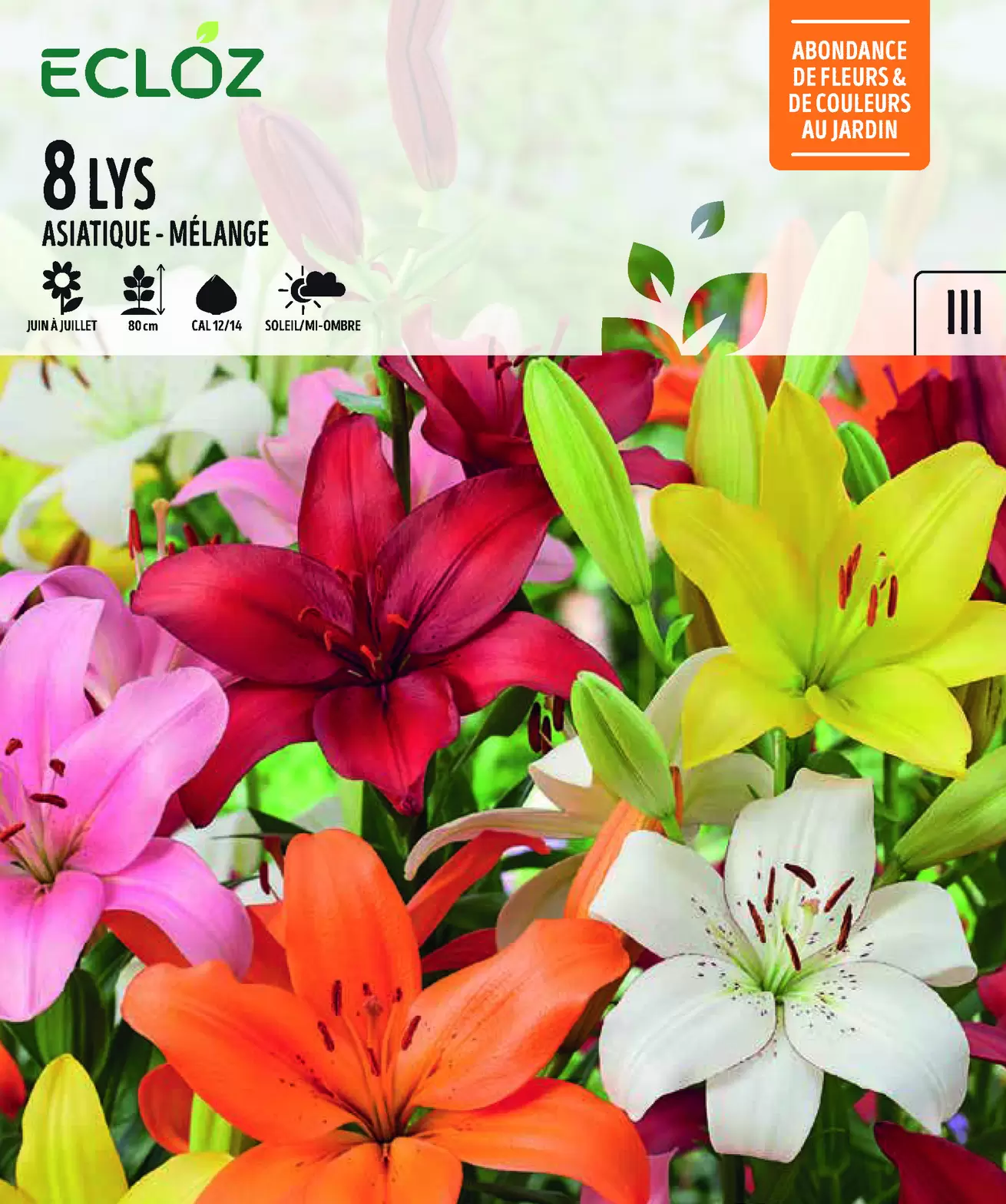 Lis Asiatique Mélange X8 Cal 12/14 - ECLOZ offre à 5,99€ sur Jardiland