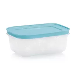 4 Boîtes Igloo 450 ml offre à 15,99€ sur Tupperware