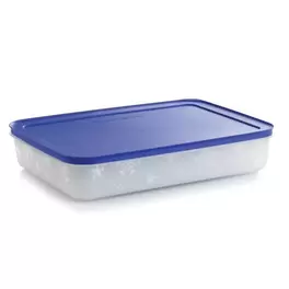 Boîte Igloo 2,25 l offre à 22,9€ sur Tupperware