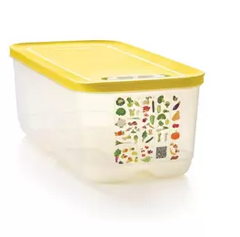 Boîte VentilOfrais 6,1 l offre à 49,9€ sur Tupperware