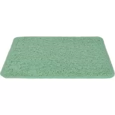 Tapis de toilette 37x45 cm menthe menthe offre à 7,49€ sur Maxi Zoo