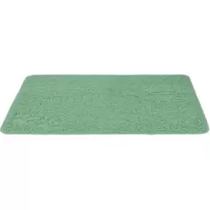 Tapis de toilette 45x60 cm menthe offre à 10,99€ sur Maxi Zoo